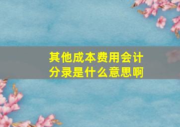 其他成本费用会计分录是什么意思啊