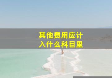 其他费用应计入什么科目里