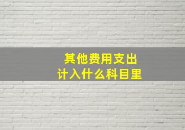 其他费用支出计入什么科目里