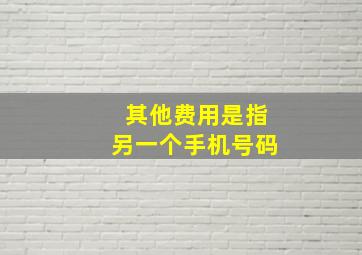 其他费用是指另一个手机号码