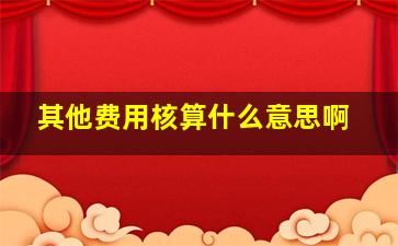 其他费用核算什么意思啊