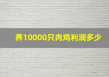 养10000只肉鸡利润多少