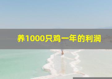 养1000只鸡一年的利润