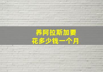 养阿拉斯加要花多少钱一个月