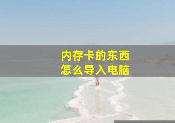 内存卡的东西怎么导入电脑