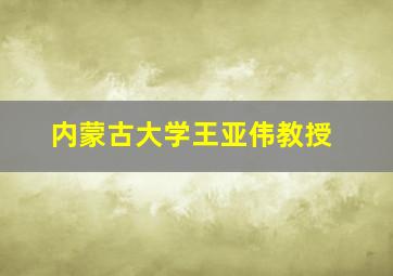 内蒙古大学王亚伟教授