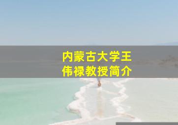 内蒙古大学王伟禄教授简介