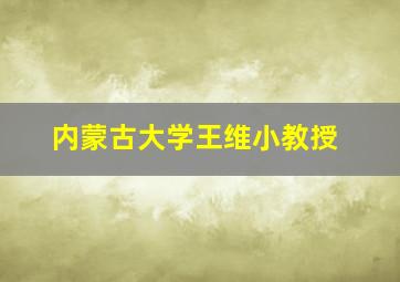 内蒙古大学王维小教授