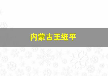 内蒙古王维平