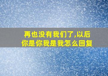 再也没有我们了,以后你是你我是我怎么回复