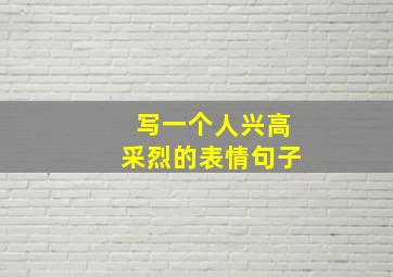 写一个人兴高采烈的表情句子