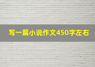 写一篇小说作文450字左右