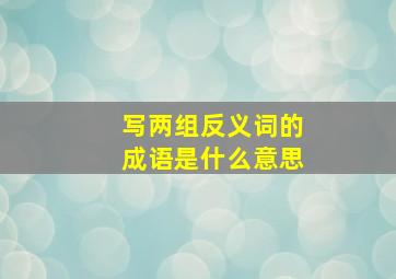 写两组反义词的成语是什么意思