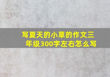 写夏天的小草的作文三年级300字左右怎么写