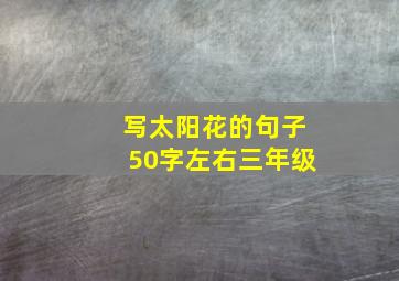 写太阳花的句子50字左右三年级