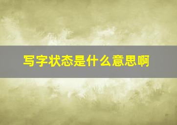 写字状态是什么意思啊