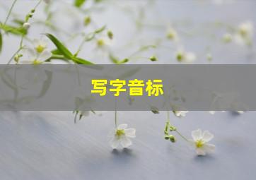 写字音标