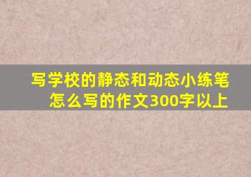 写学校的静态和动态小练笔怎么写的作文300字以上