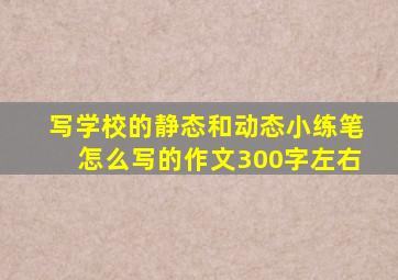 写学校的静态和动态小练笔怎么写的作文300字左右