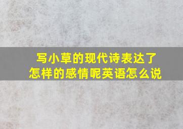 写小草的现代诗表达了怎样的感情呢英语怎么说