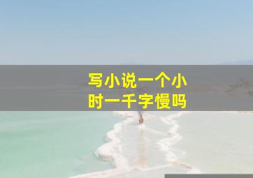 写小说一个小时一千字慢吗