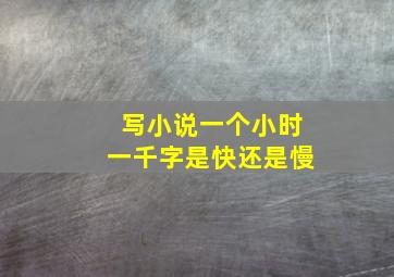 写小说一个小时一千字是快还是慢