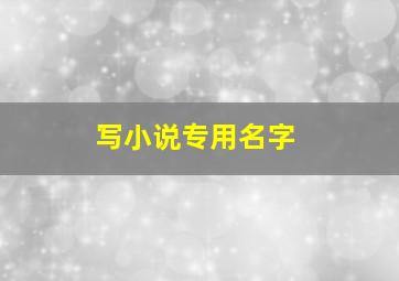 写小说专用名字