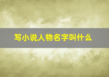 写小说人物名字叫什么