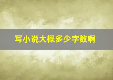 写小说大概多少字数啊