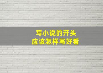 写小说的开头应该怎样写好看