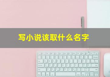 写小说该取什么名字