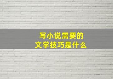 写小说需要的文学技巧是什么