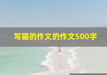 写猫的作文的作文500字