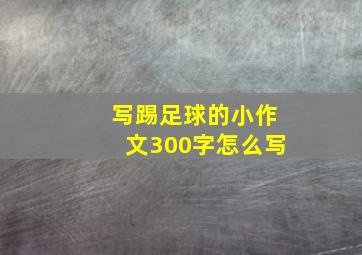 写踢足球的小作文300字怎么写