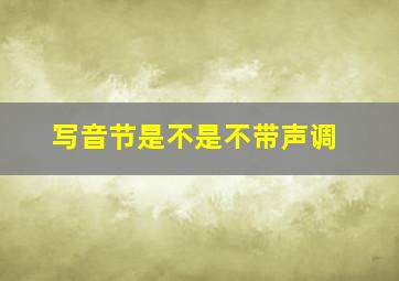 写音节是不是不带声调