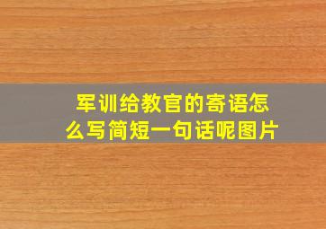 军训给教官的寄语怎么写简短一句话呢图片