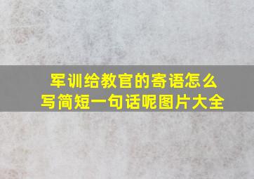 军训给教官的寄语怎么写简短一句话呢图片大全