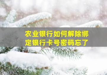 农业银行如何解除绑定银行卡号密码忘了