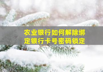 农业银行如何解除绑定银行卡号密码锁定