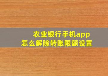 农业银行手机app怎么解除转账限额设置