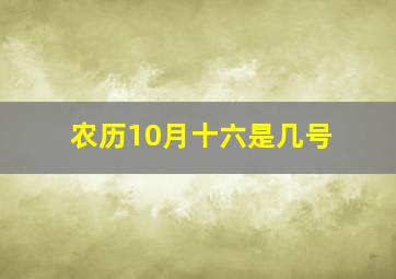 农历10月十六是几号