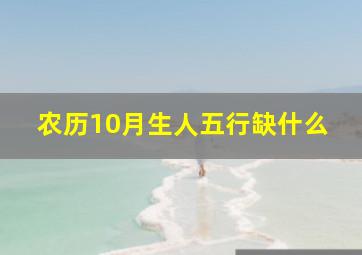 农历10月生人五行缺什么