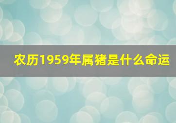 农历1959年属猪是什么命运