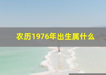 农历1976年出生属什么