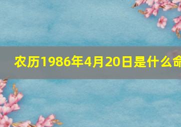 农历1986年4月20日是什么命