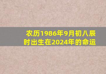 农历1986年9月初八辰时出生在2024年的命运