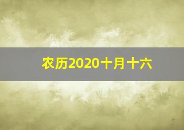 农历2020十月十六