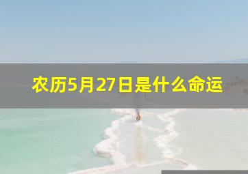 农历5月27日是什么命运