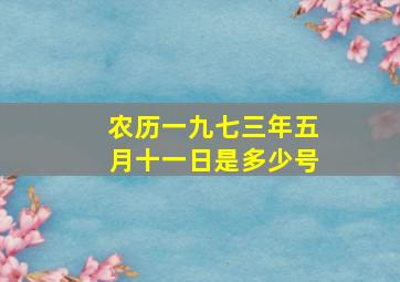 农历一九七三年五月十一日是多少号