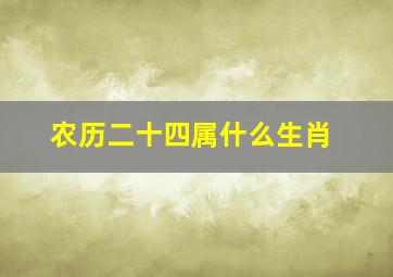 农历二十四属什么生肖